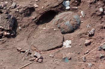 화성 고정리 공룡알화석 산지