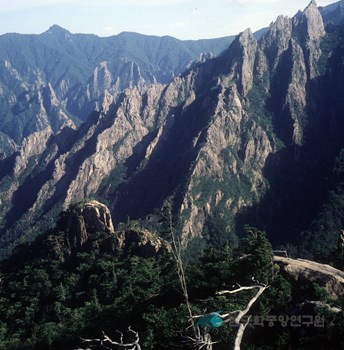 설악산 천연보호구역 천불동 계곡