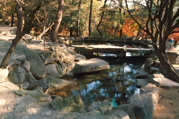 금강공원 연못