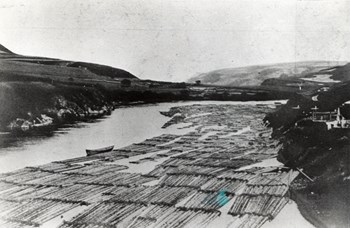 압록강 목재 운반(1930)년대
