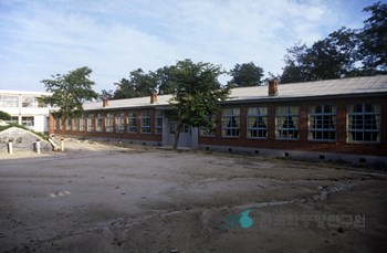 김포국민학교