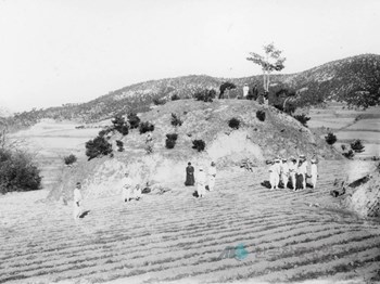 성주 성산동 고분군 중 대분 발굴 이전 모습