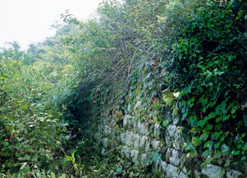 태천 농오리산성 성벽