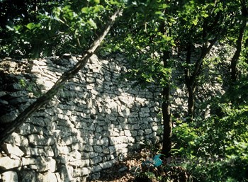봉산 정방산성 성벽