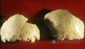 상시 바위그늘 유적 / 슬기사람의 윗머리뼈
