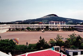 대정국민학교