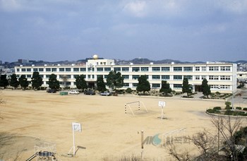 영천초등학교