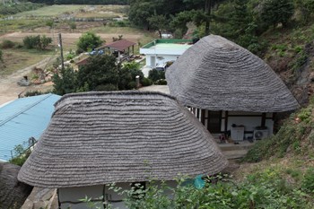 김해 장방리 갈대집 영강정과 사랑채의 지붕