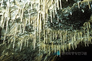 제주 한림 용암동굴지대 황금굴