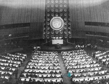 국제연합 총회