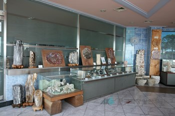 경보화석박물관 제3전시관