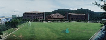 부산가톨릭대학