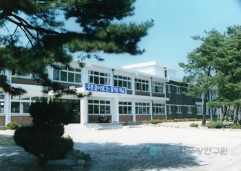 철원국민학교