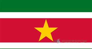 수리남의 국기