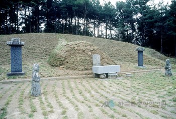 청주 박광우 묘소 정면