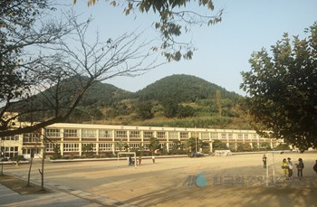 진동국민학교