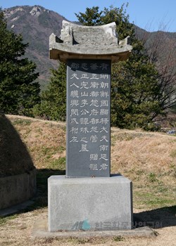 남연군의 묘 / 묘비