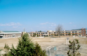 금산중앙국민학교