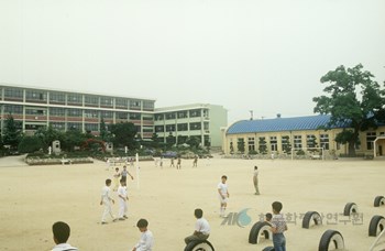 울산국민학교