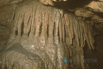 태백 용연굴