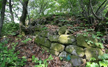 대전 능성 성벽