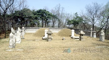 서울 조선 연산군 묘역 정면