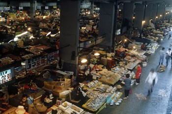 노량진 수산물시장