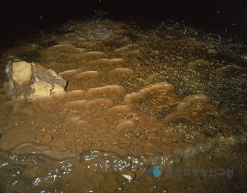 삼척 대이리 동굴지대 환선굴