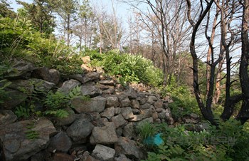 대전 마산동 산성 성벽