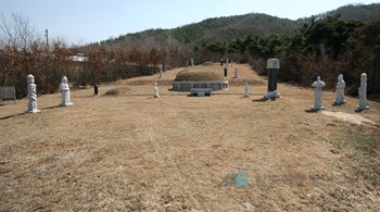 진천 이영남 장군 묘소