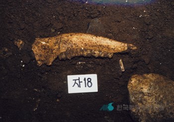 단양 구낭굴 유적 발굴모습