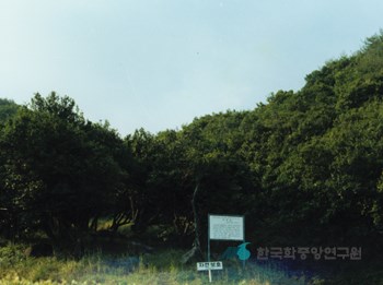 광양 옥룡사지 백계산 동백림