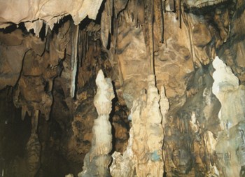 울진 성류굴 종유석과 석순