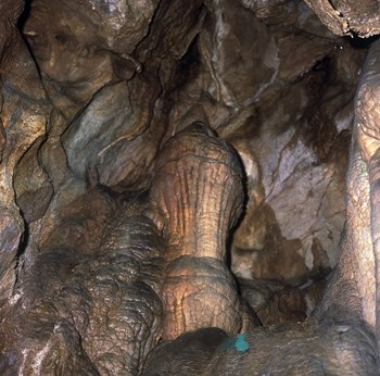 단양 천동굴 / 석회석 기둥