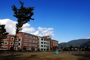 안성초등학교