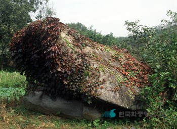 홍성 지석묘