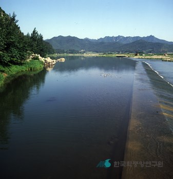 탐진강