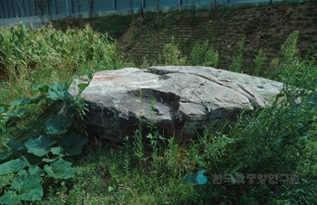 대전 비래동 고인돌
