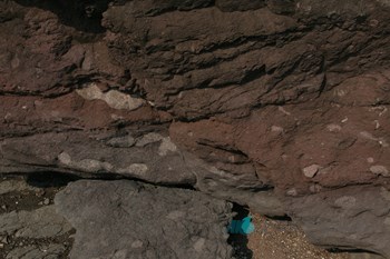 보성 비봉리 공룡알화석 산지