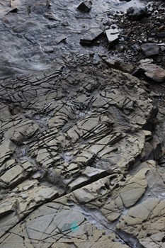 남해 가인리 화석산지