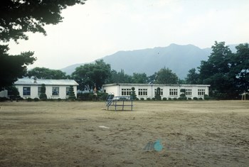 유촌국민학교