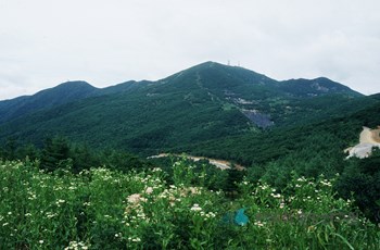 함백산