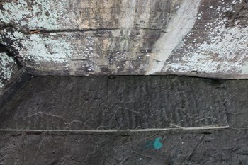 함안 용산리 함안층 새발자국화석 산지 전경