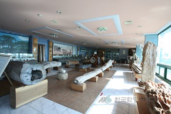 경보화석박물관 제4전시관