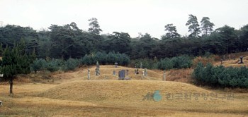 조선시대 사대부의 민묘