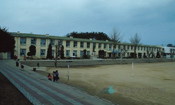 양양국민학교