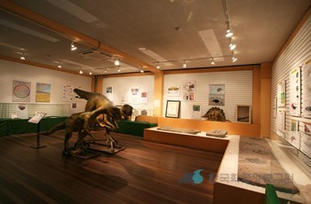 경북대학교자연사박물관 공룡화석관