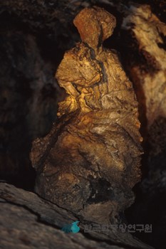 제주 한림 용암동굴지대 협재굴 모자상