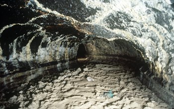 제주 한림 용암동굴지대 협재굴