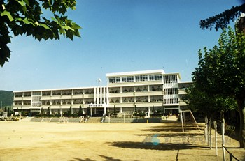 김해합성국민학교